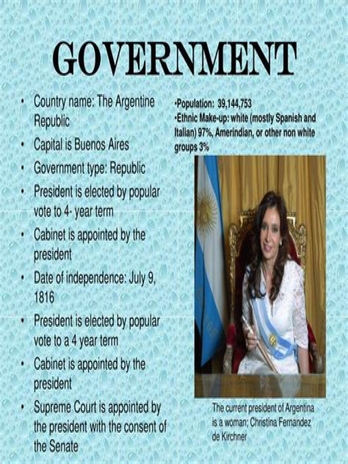 argentina type of government