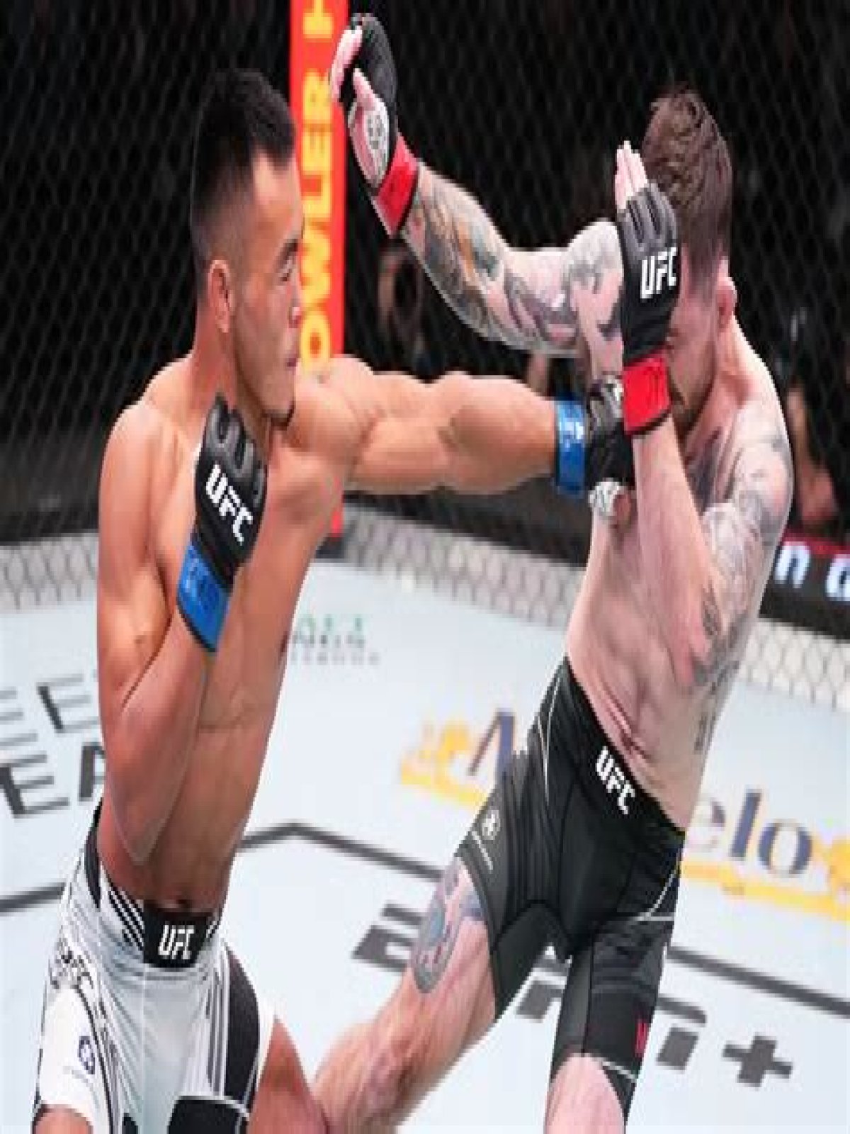 Do fighters wear cups?