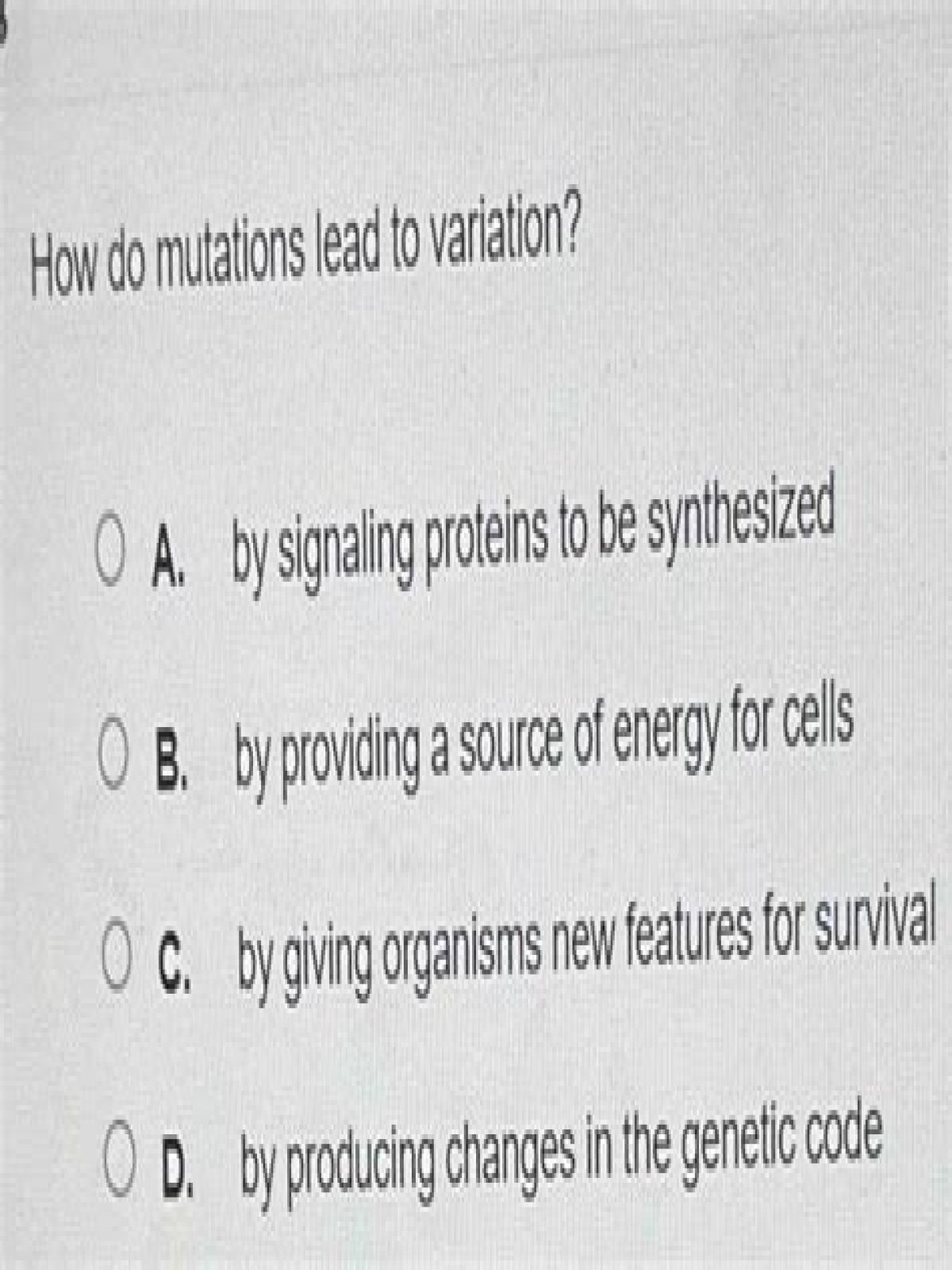how do mutations lead to genetic variation?