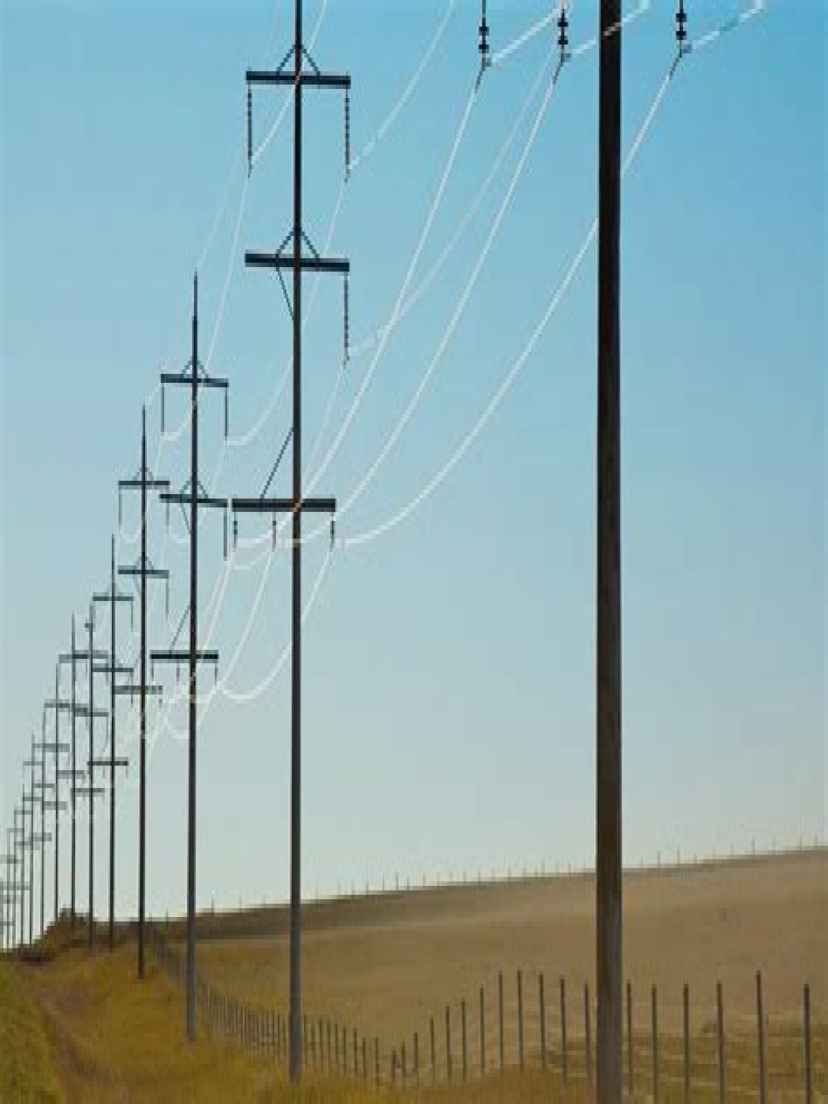 How much does a utility power pole cost?