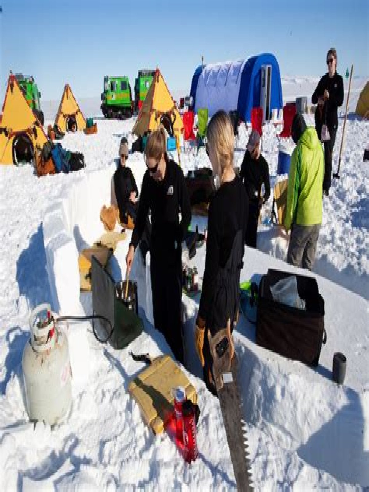 how to survive in antarctica