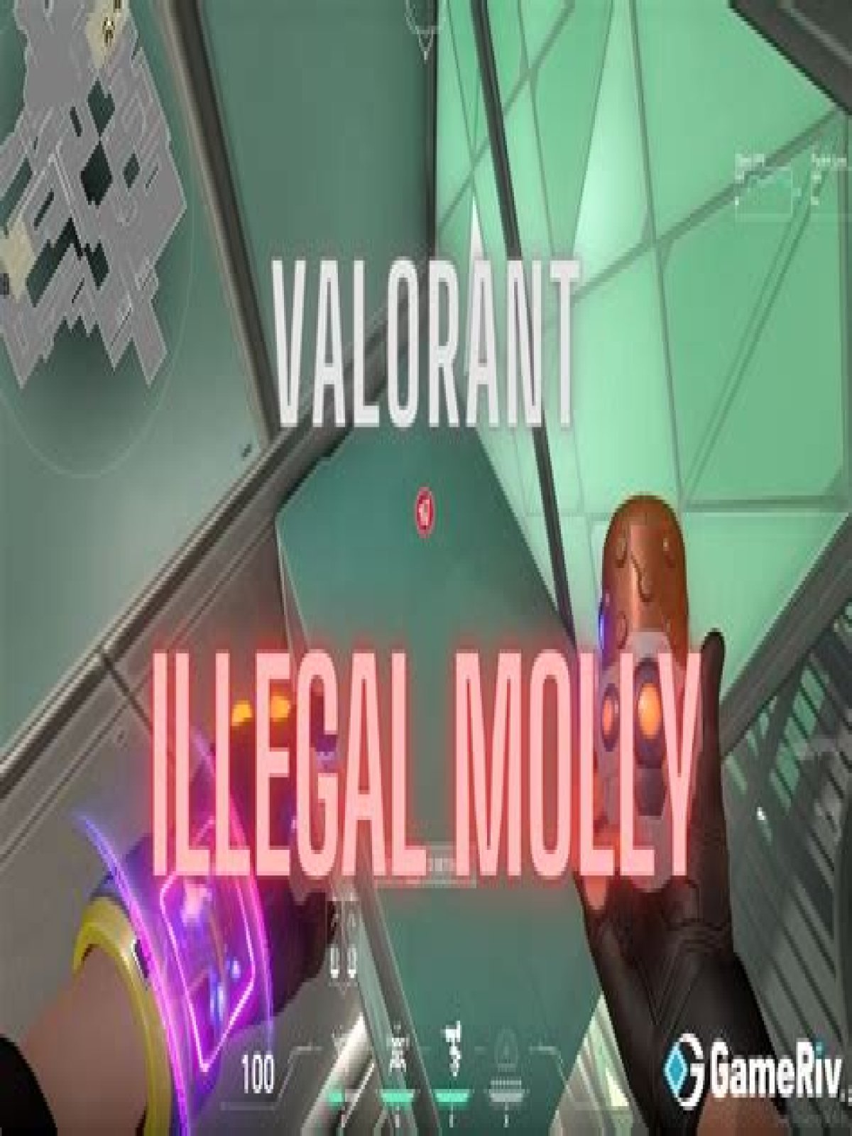 hy is it illegal for Molly to take a rake? check it out – why is taking a rake illegal