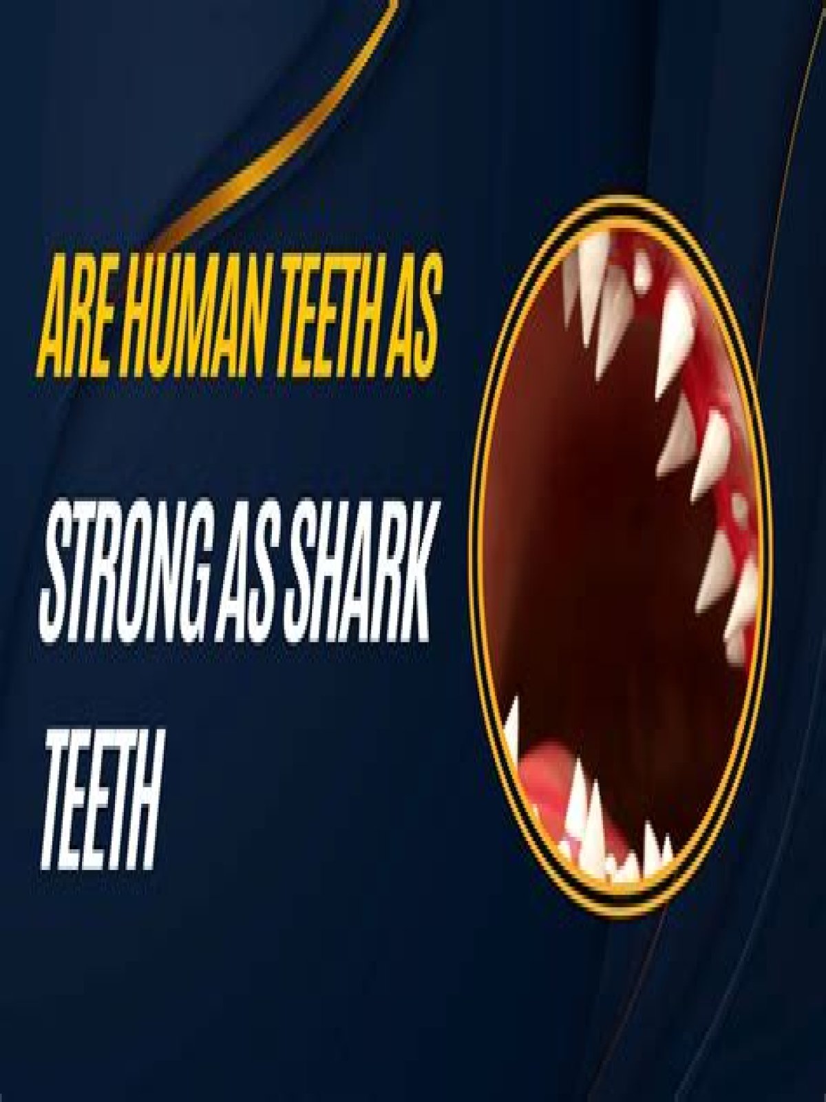 Is human teeth as strong as shark teeth?
