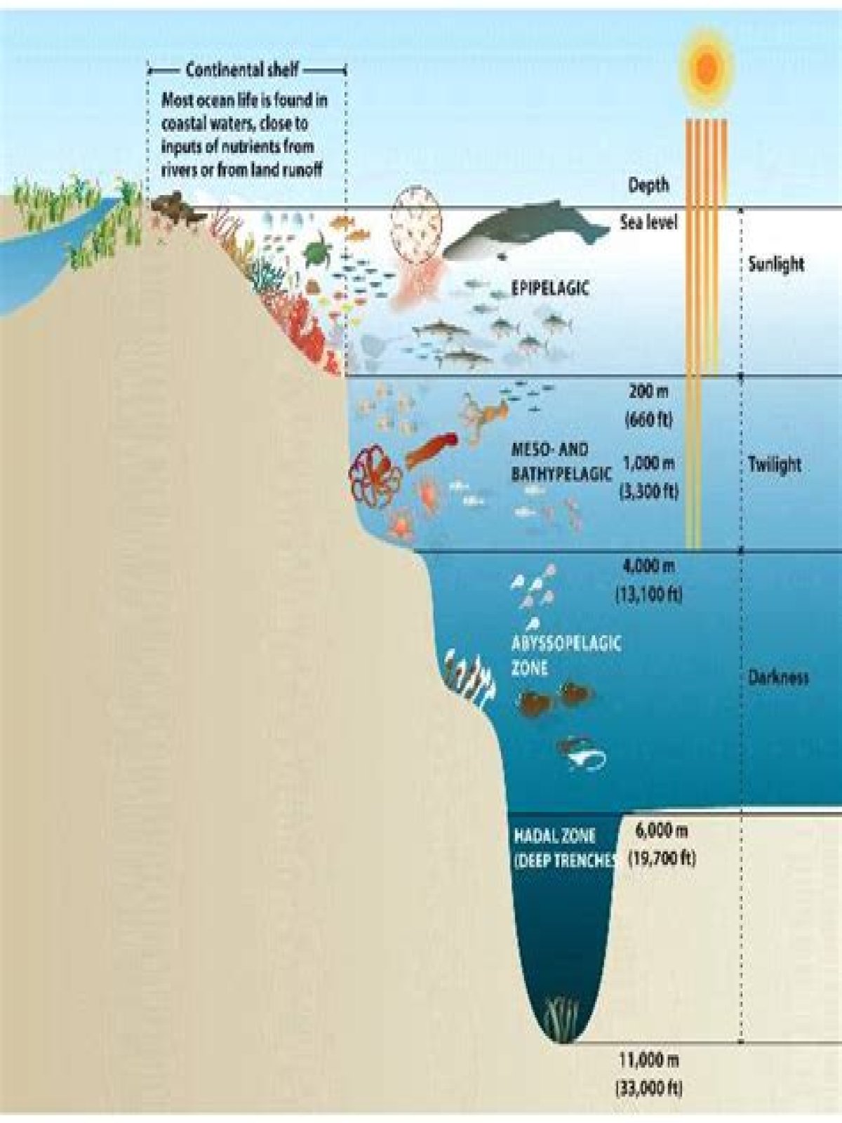 oceans life zones