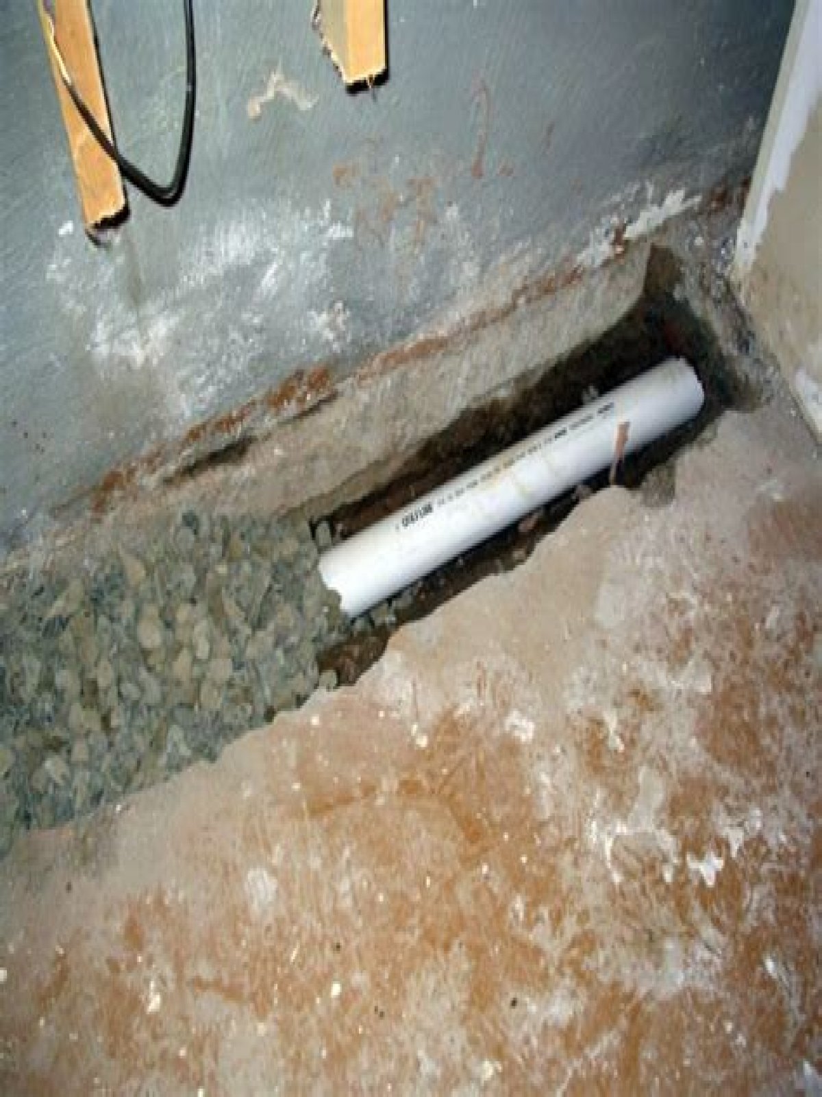 Should there be water in my basement drain?