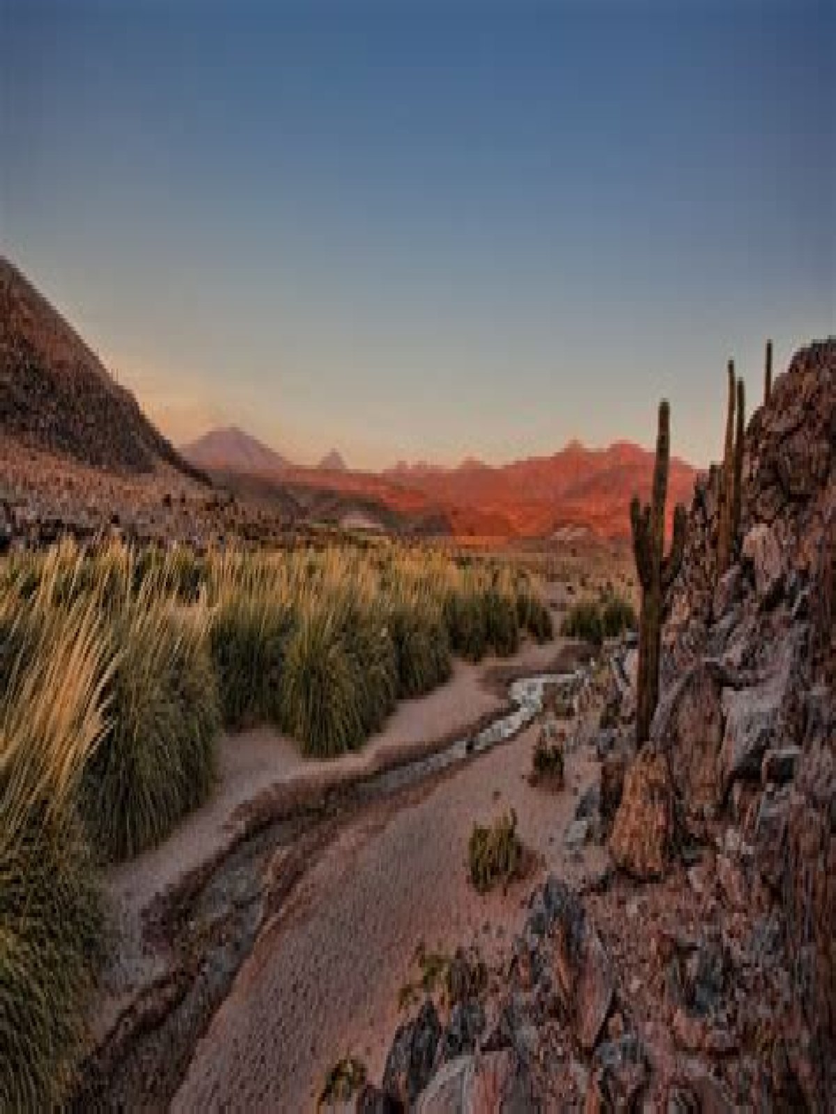 what desert is in south america