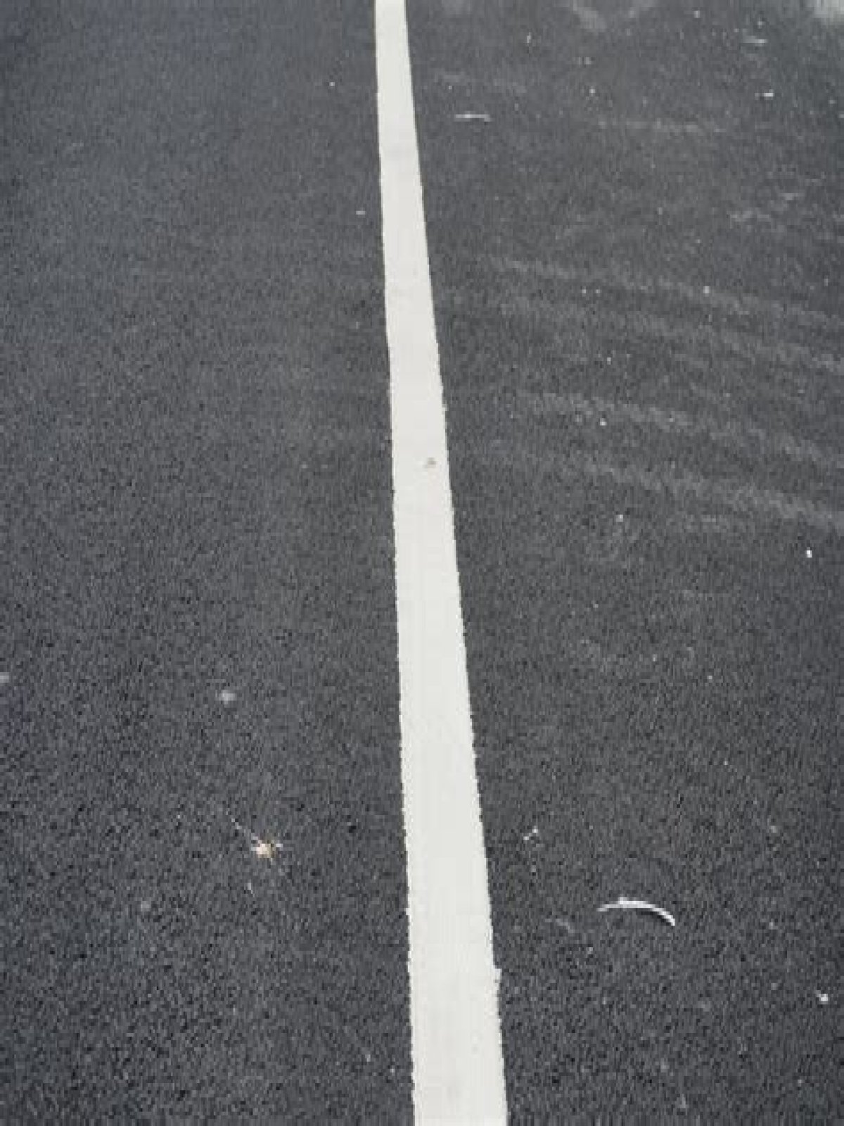 what do white lines on the road mean
