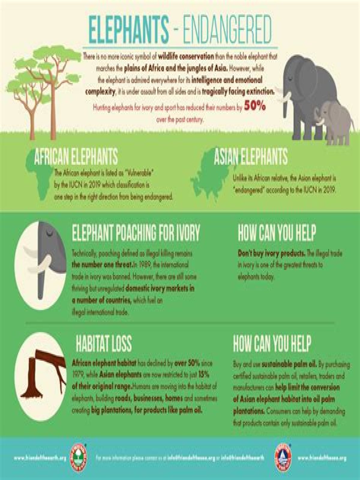 what is being done to protect asian elephants