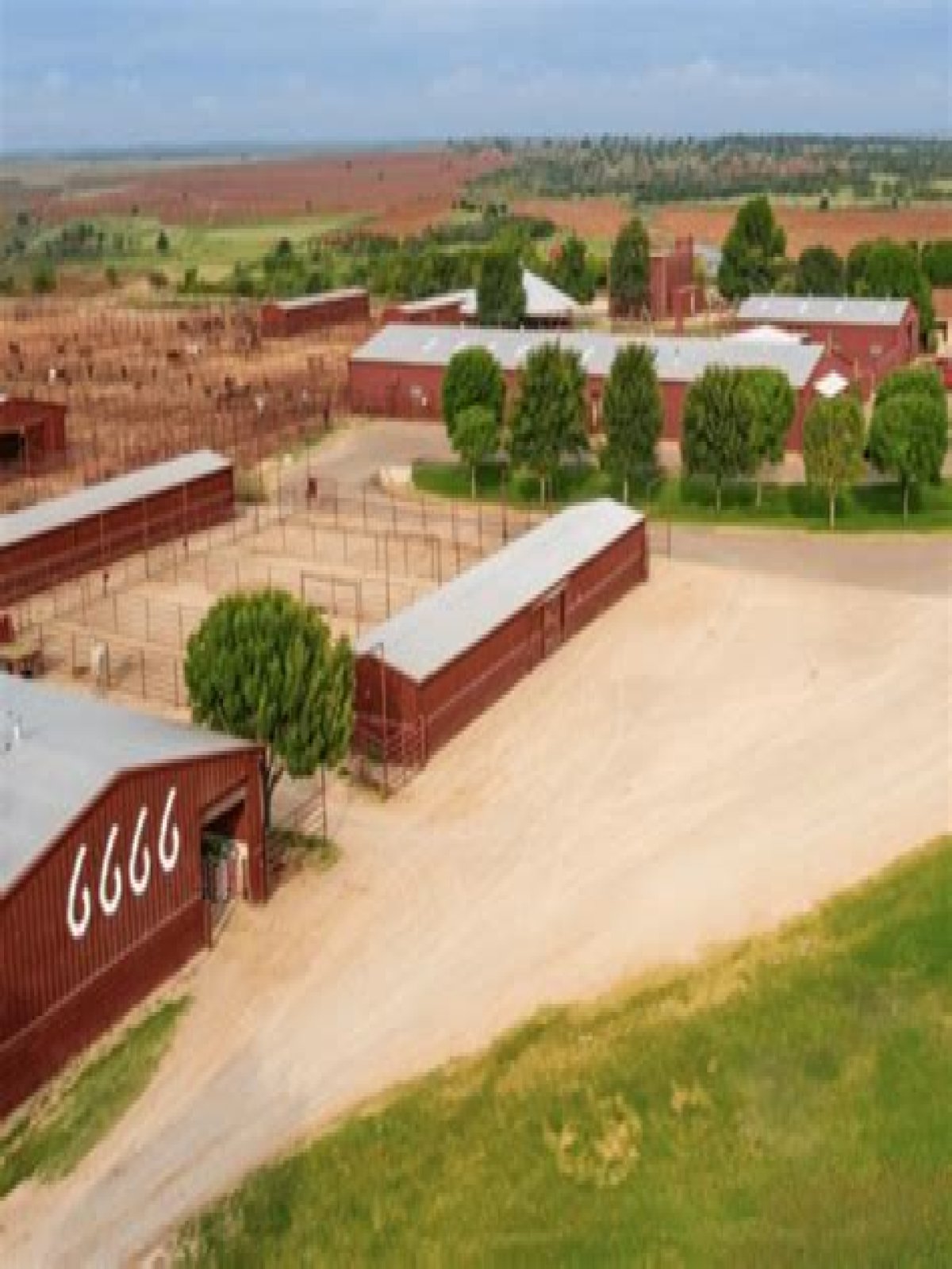What Is The Largest Cattle Ranch In The United States? - Largest Ranch In Us - Best Guide 2022