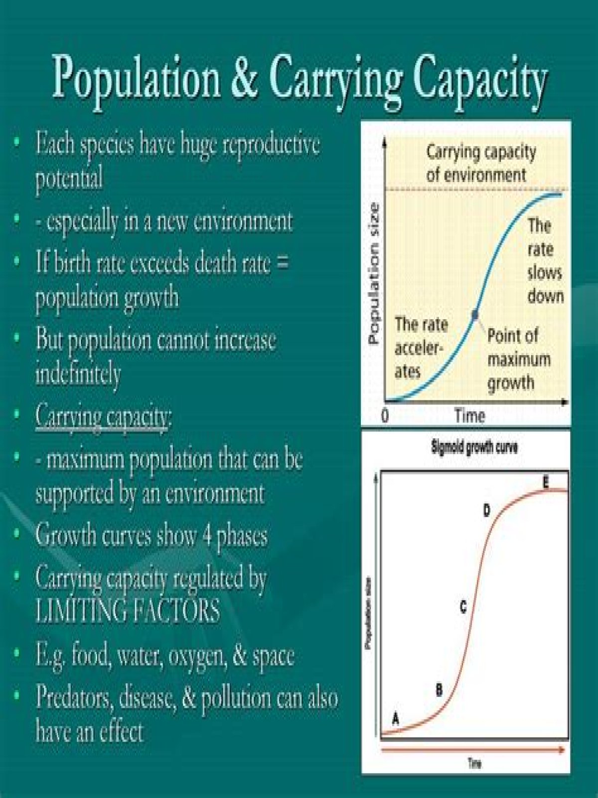 what is the relationship between carrying capacity and population growth
