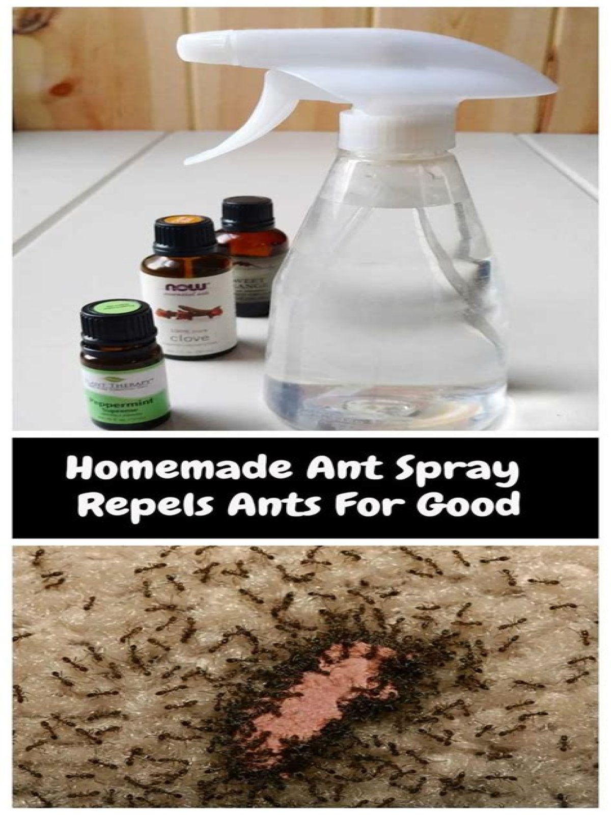 what kills ants