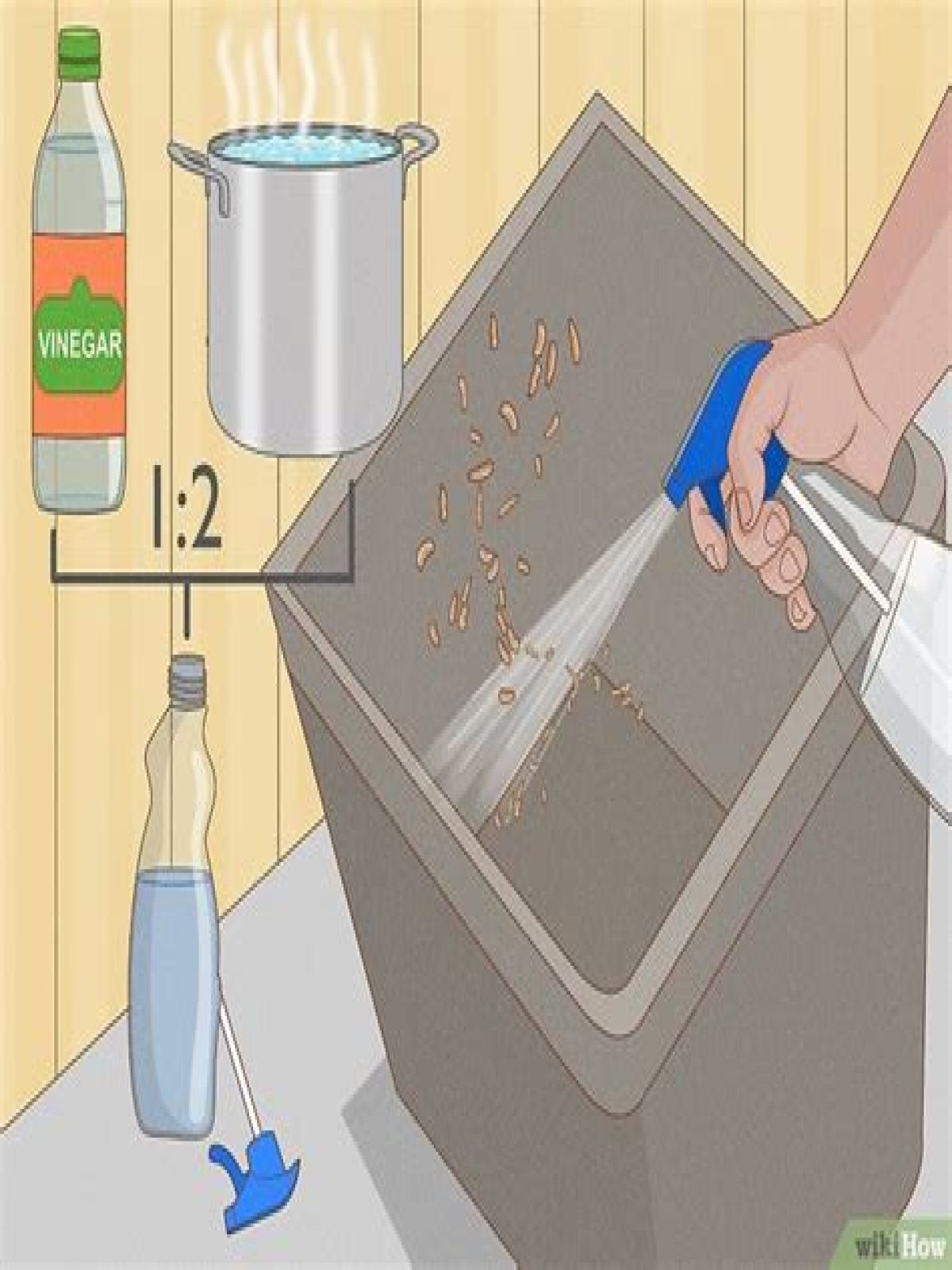 what kills maggots