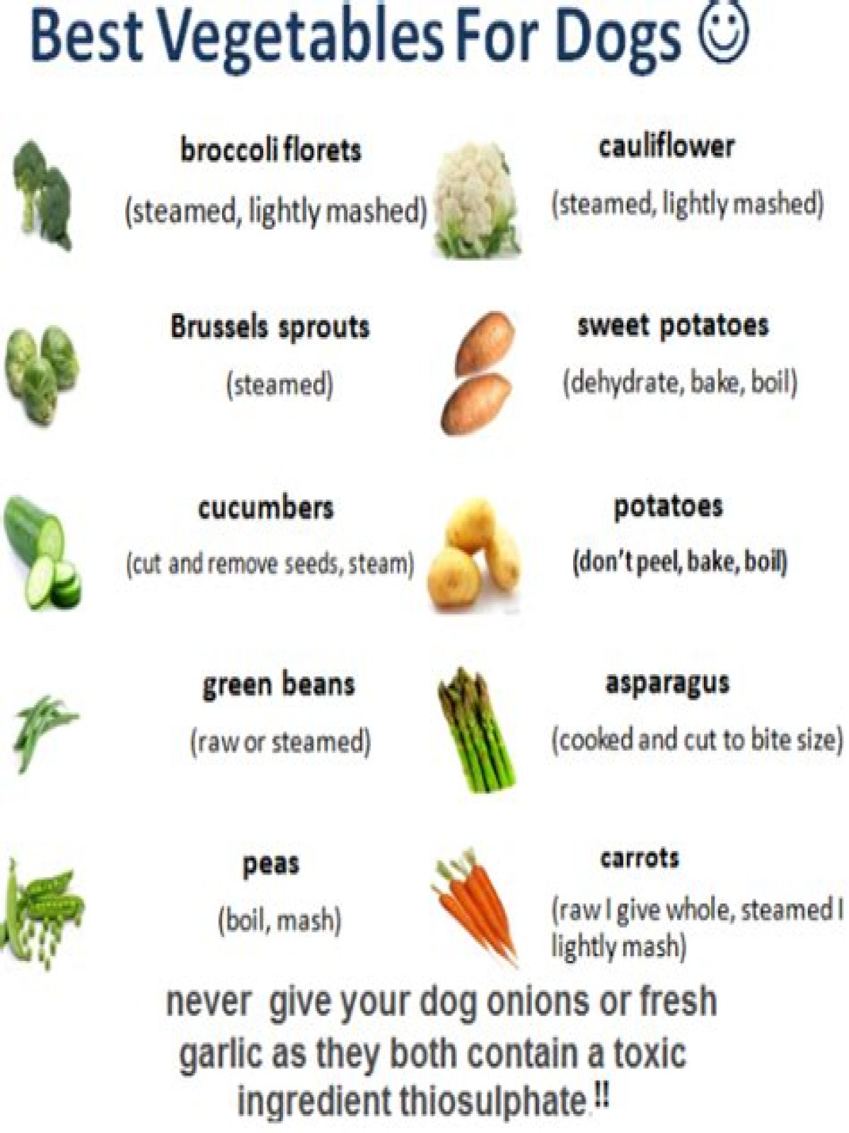 what vegetables are good for dogs