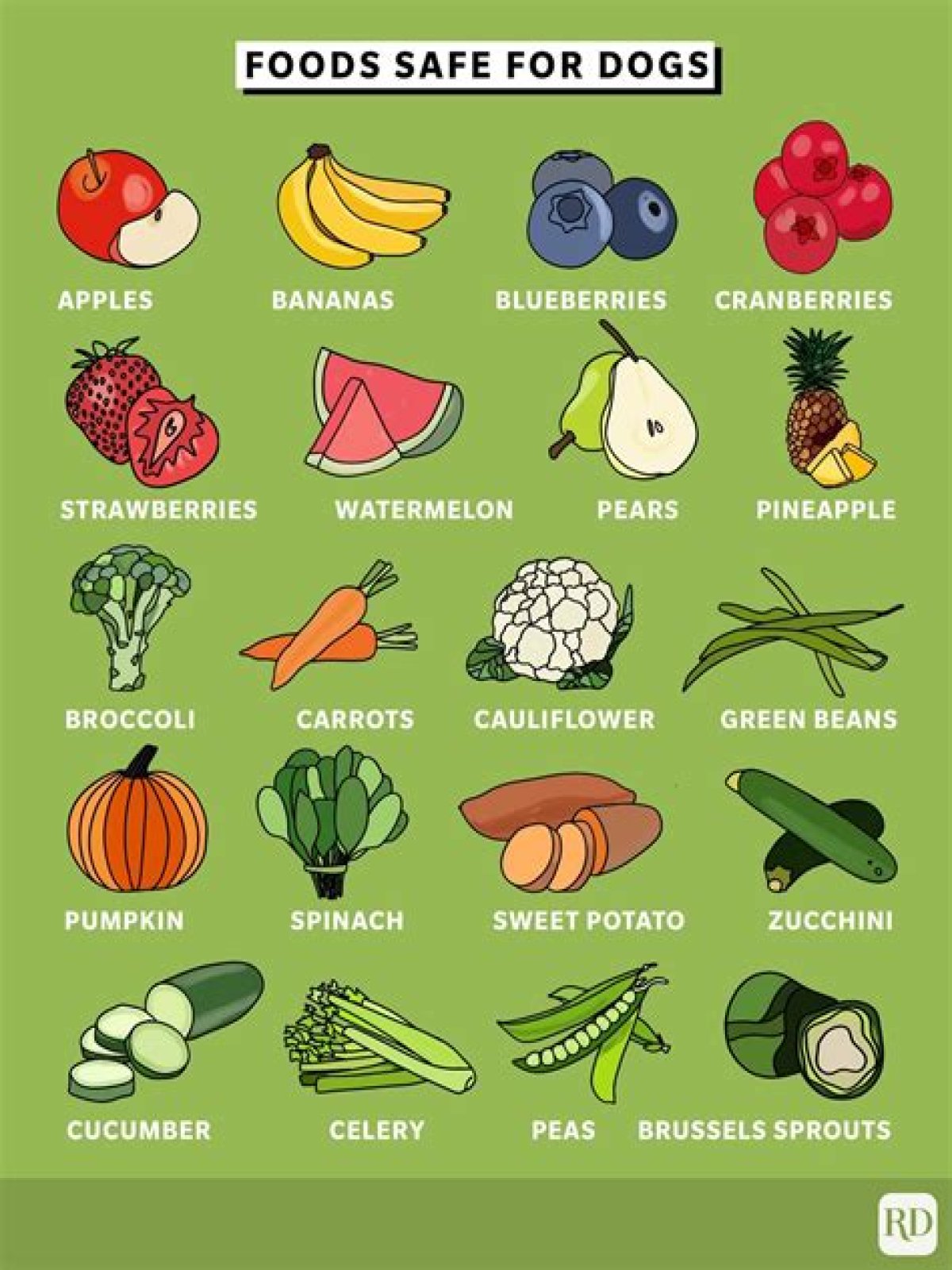 what vegetables can dogs eat