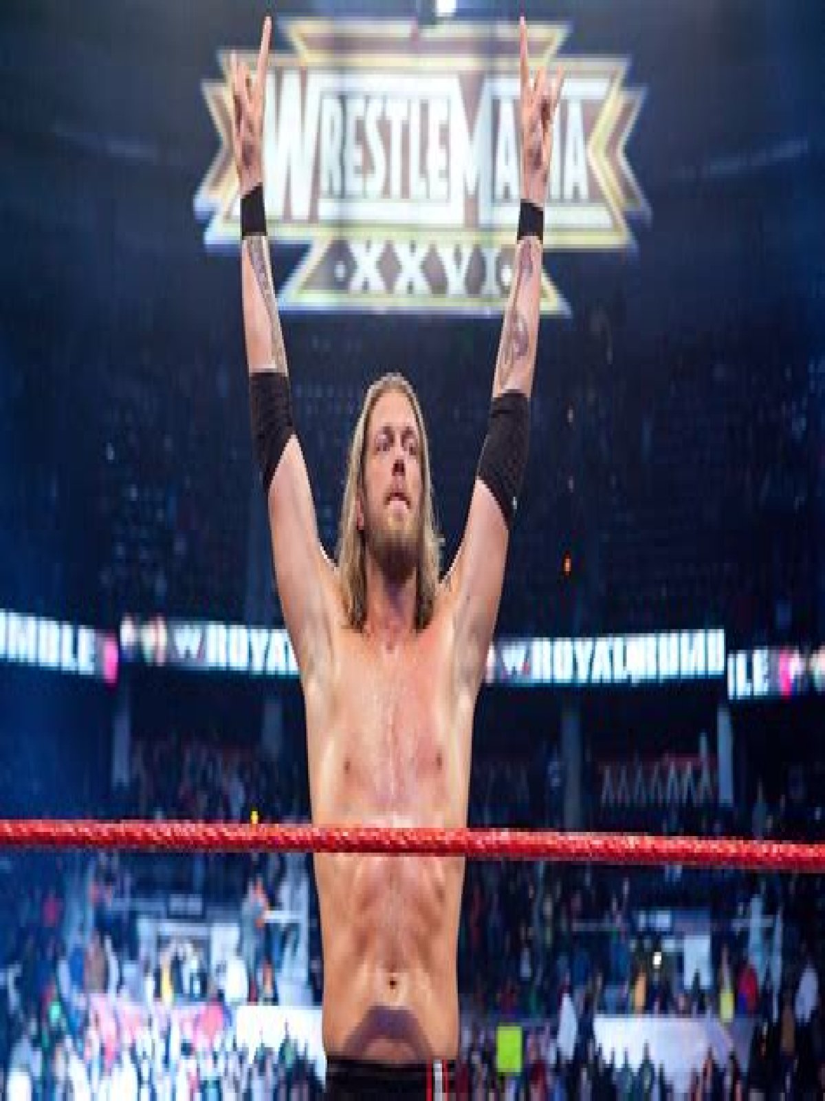 Who won the 2010 Royal Rumble?