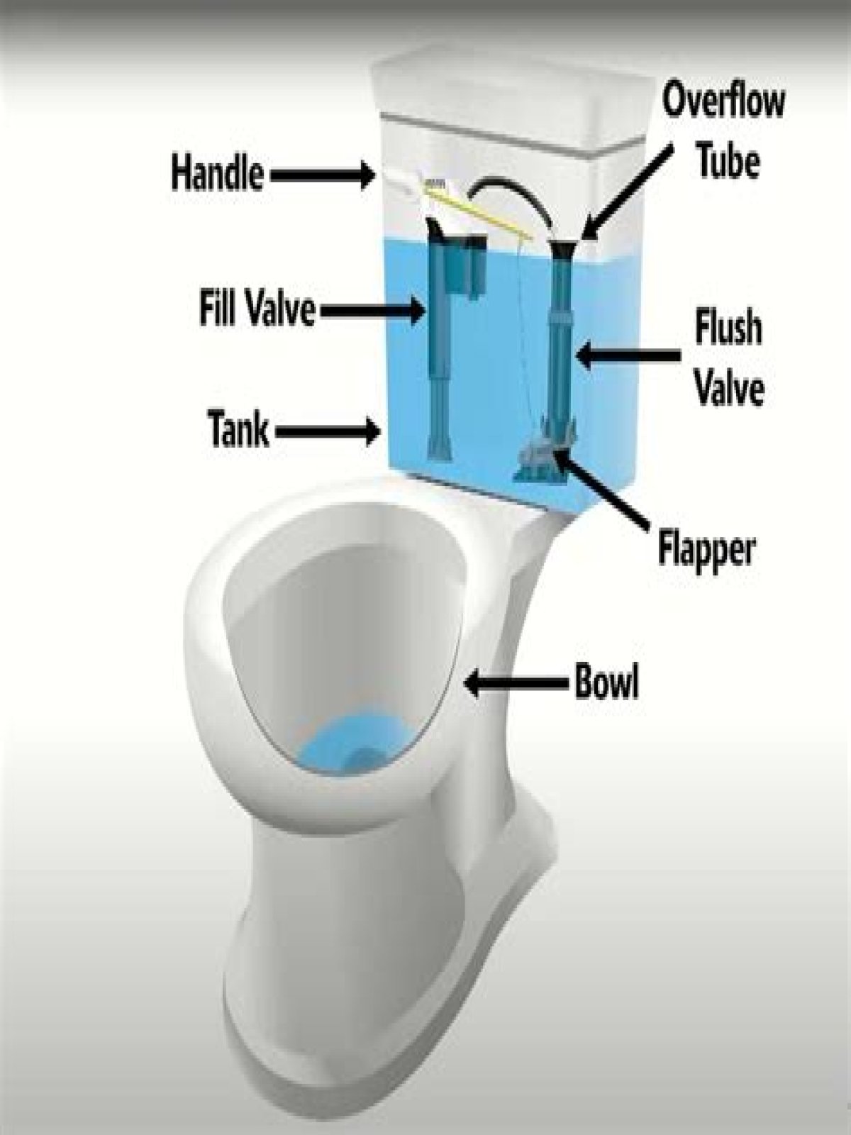 Why do I hear a vibrating sound when I flush the toilet?