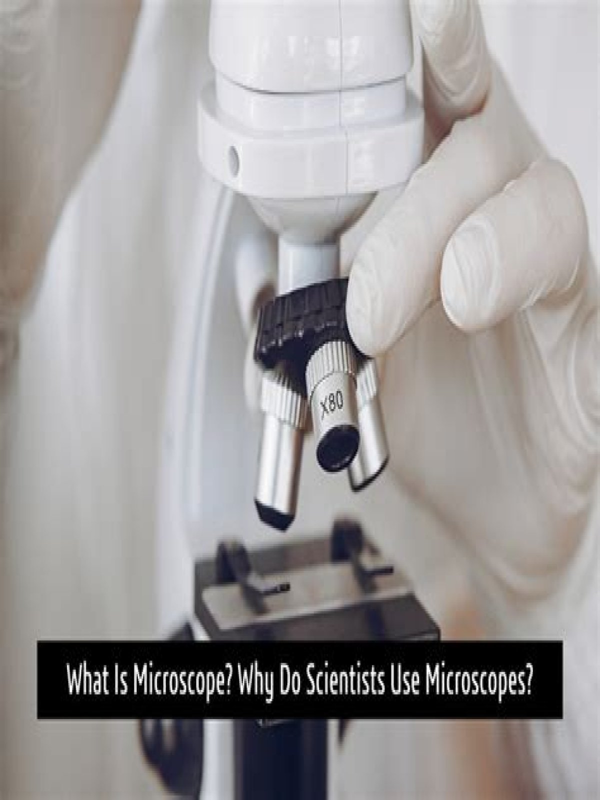 Why Do Scientists Use Microscopes?