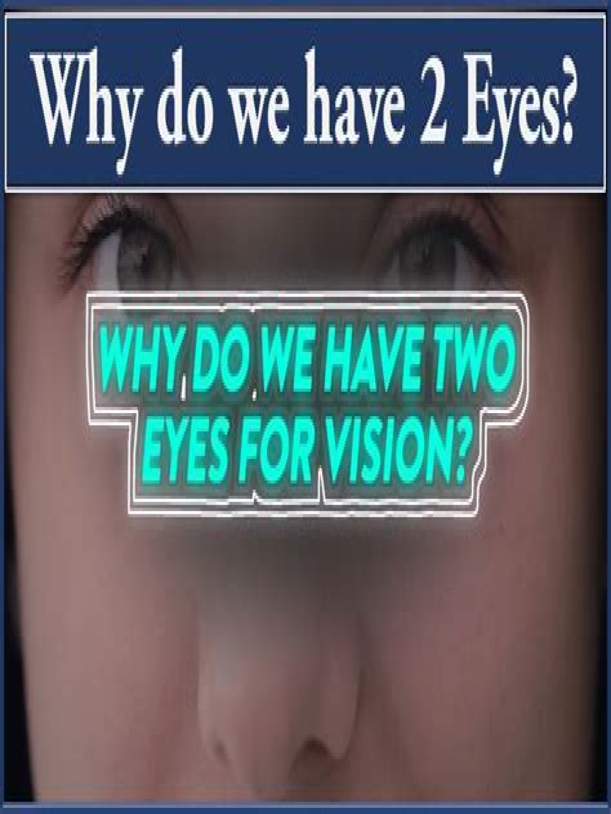why do we have 2 eyes