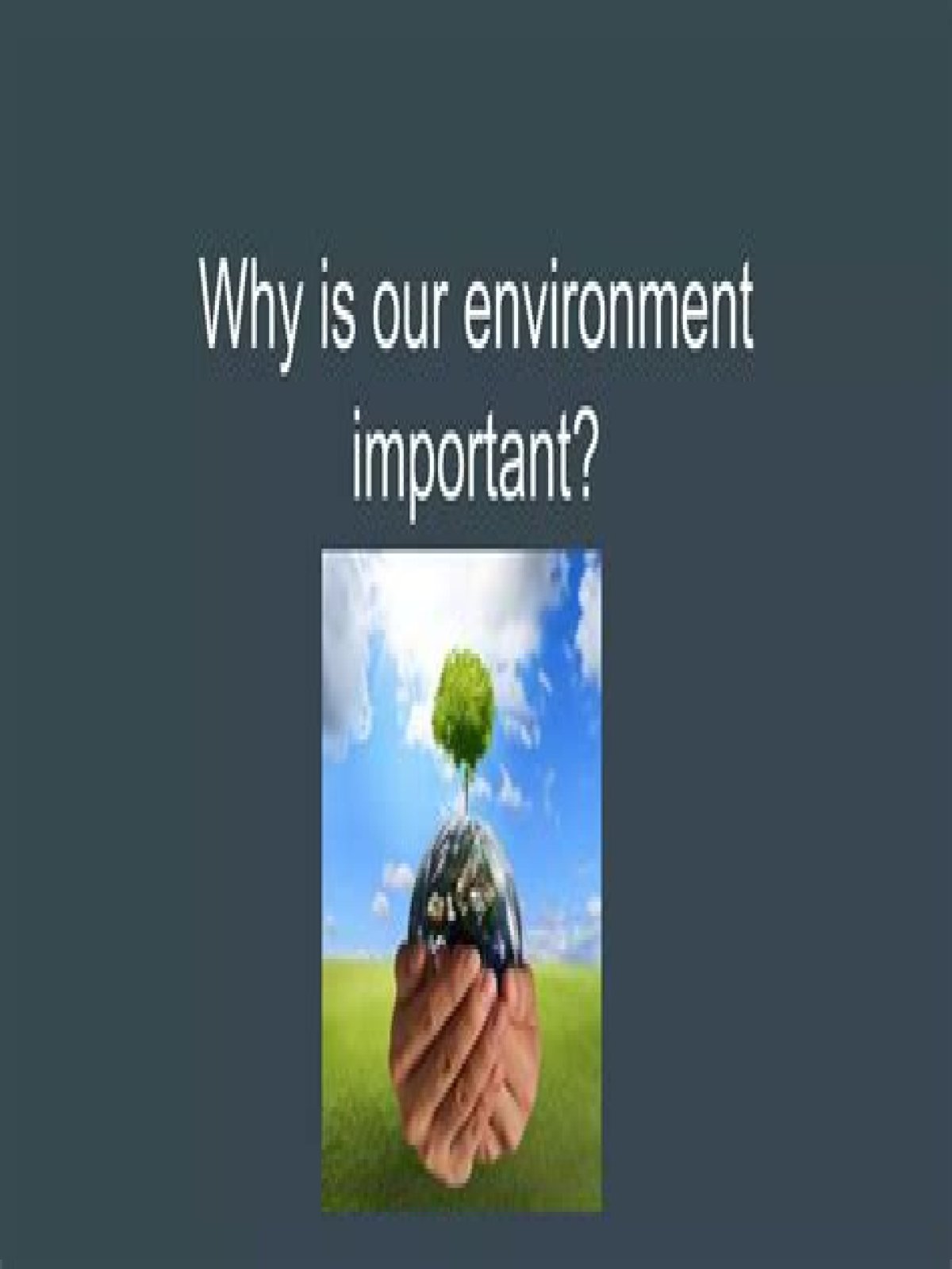 why is our environment important